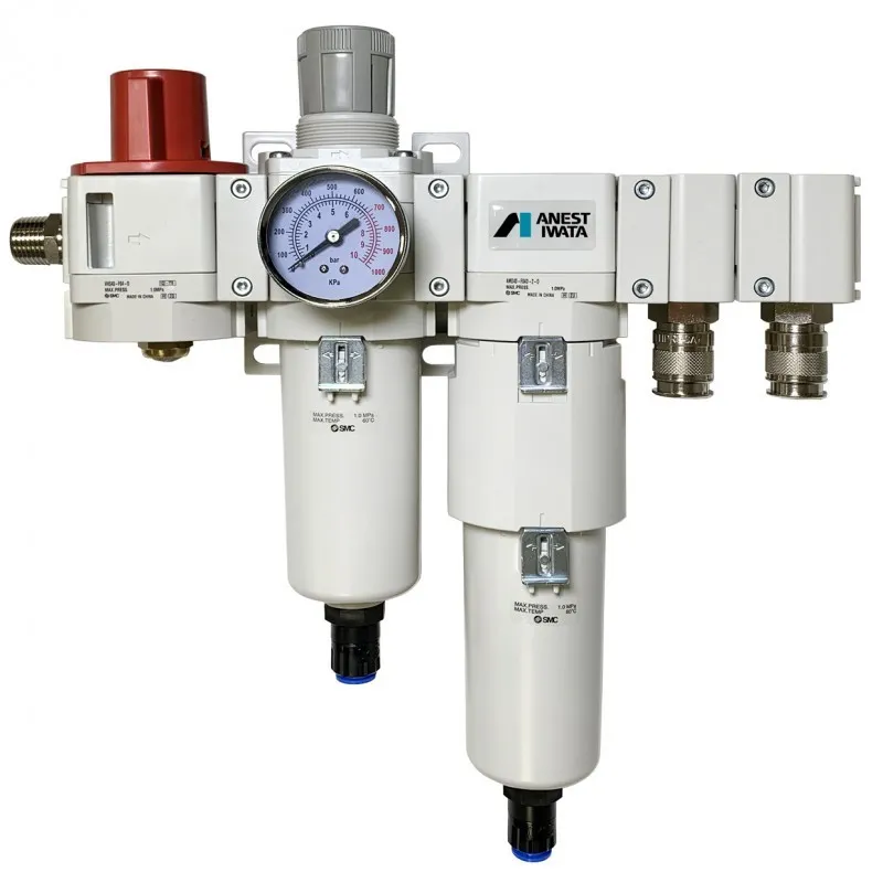 Iwata Filtro Regulador  Plus Doble Etapa de Filtrado